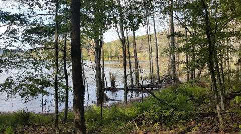 The Trail In Indiana That Will Lead You On An Adventure Like No Other