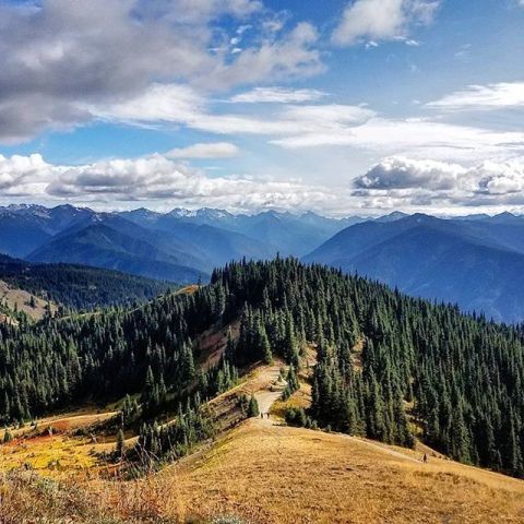 The Trail In Washington That Will Lead You On An Adventure Like No Other