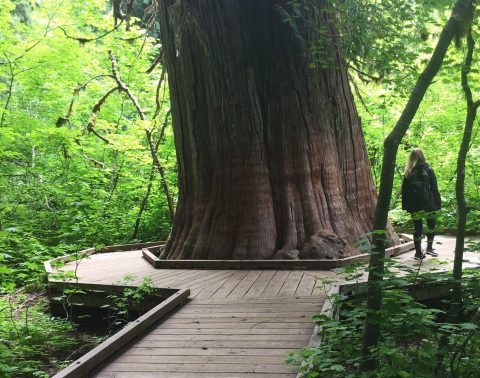 This Quaint Little Trail Is The Shortest And Sweetest Hike In Washington