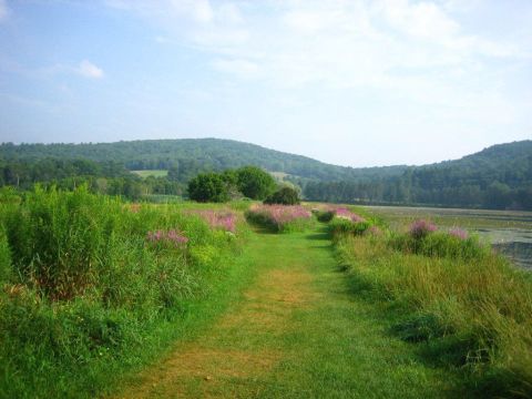 This Easy Hike In Vermont Is Perfect For A Spring Day