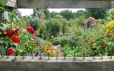 The Secret Garden Hike In Boston Will Make You Feel Like You’re In A Fairytale