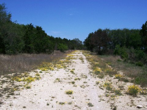 This Rustic Patch of Wilderness Near Austin Has Over 40 Miles of Trails