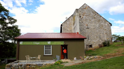 You’re Guaranteed To Love A Trip To This Charming Cheese Farm In Maryland