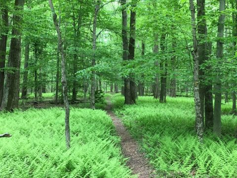 Visit One Of These 12 Hiking Towns In Connecticut For The Perfect Outdoor Adventure