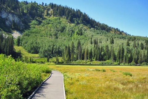 This Beautiful Boardwalk Trail In Utah Is The Most Unique Hike Around