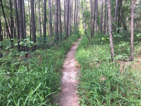 The Trail In Missouri That Will Lead You On An Adventure Like No Other