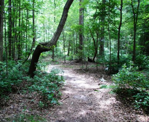 The Most Beautiful Nature Park In Virginia Has Something For Everyone