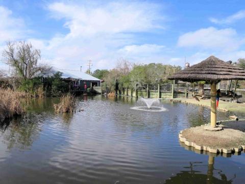 The Unusual Zoo In South Carolina That's Fun For The Whole Family