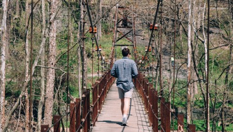 A Beautiful Bridge Hike In Maryland, The Grist Mill Trail Is Full Of Mesmerizing Sights