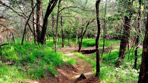 The Trail In Oklahoma That Will Lead You On An Adventure Like No Other