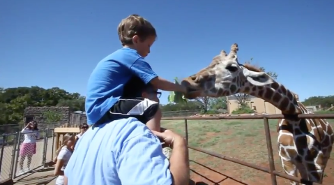 The Incredibly Unique Wildlife Experience That You Can Have Right Here In Oklahoma