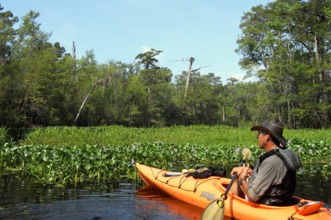 This One Of A Kind Water Tour In South Carolina Will Bring Out The Explorer In You