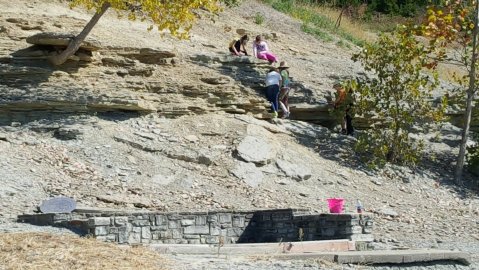 The Epic Park In Cincinnati Where You Can Take Home 300-Million-Year-Old Fossils