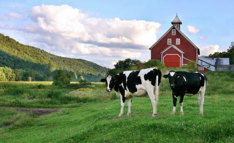 Few People Know You Can Spend The Night At This Gorgeous Working Farm In Vermont