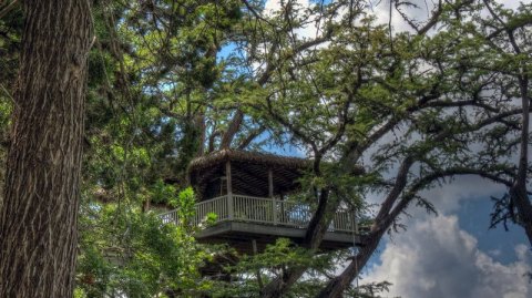 This Treehouse Resort In Texas May Just Be Your New Favorite Destination