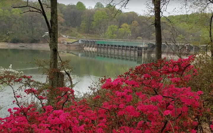 Brighton Dam