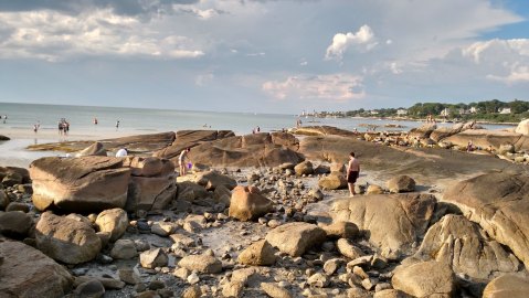 The Amazing Sand Dollar Beach Every Bay Stater Will Want To Visit