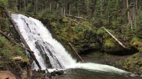 This Short And Sweet Hike In Montana Is A Must-Do