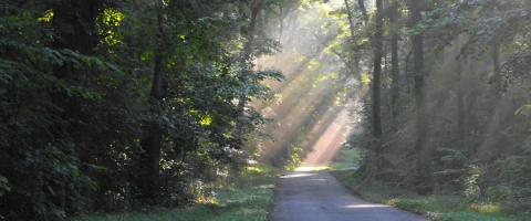 The Haunted Hike In Tennessee Will Send You Running For The Hills