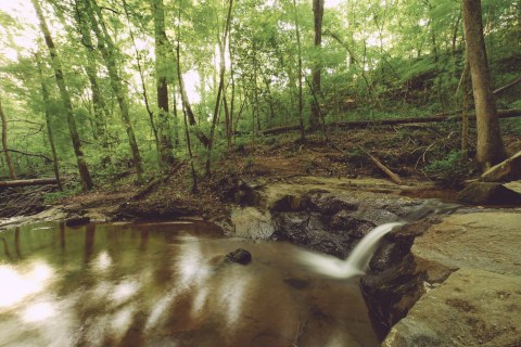 11 Nature Preserves In Georgia Worthy Of A Last Minute Spring Adventure