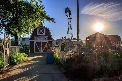 Most People Don’t Know About This Underrated Zoo Hiding In Iowa