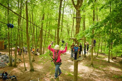 The Treetop Trail That Will Show You A Side Of Connecticut You've Never Seen Before