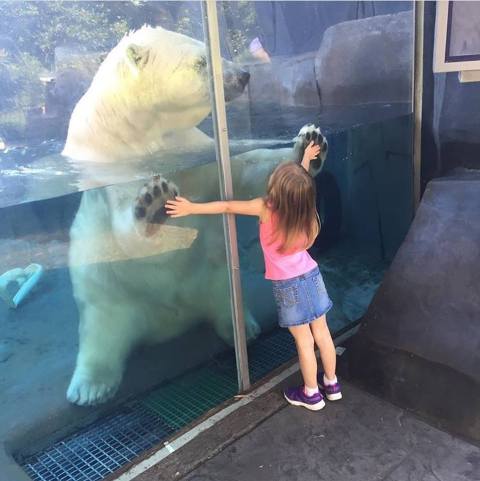 This Missouri Zoo Was Named Best In The Nation And Here's Why