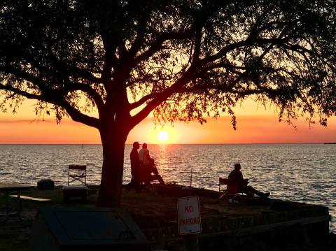 This Underrated State Park In Louisiana Will Become Your Favorite Summer Destination