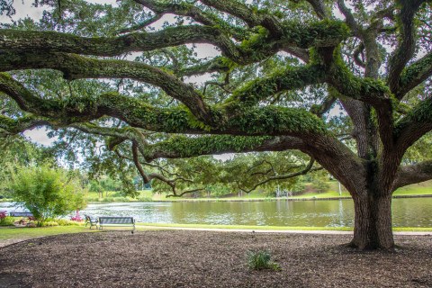 6 Beautifully Scenic Towns In Louisiana To Spend The Day In This Summer