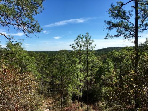 The Trail In Louisiana That Will Lead You On An Adventure Like No Other