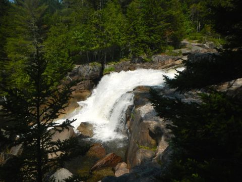 Maine’s Niagara Falls Is Too Beautiful For Words