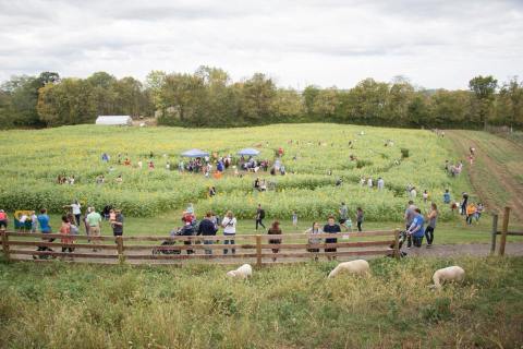 The Charming Farm In The Heart Of Cincinnati That Everyone Can Enjoy