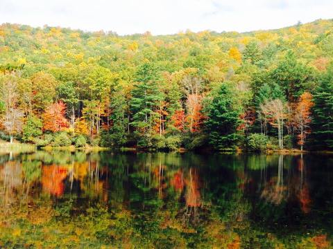 The Entire Family Will Love A Visit To This Incredible West Virginia Park This Summer