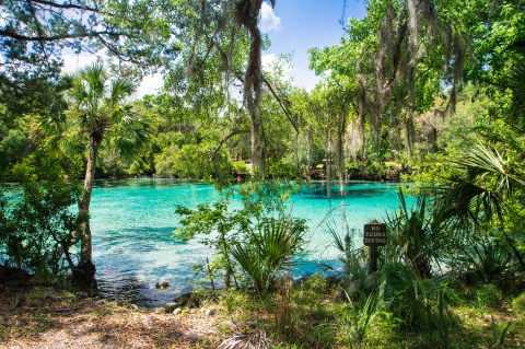 The Natural Swimming Hole In Florida That Will Take You Back To The Good Ole Days