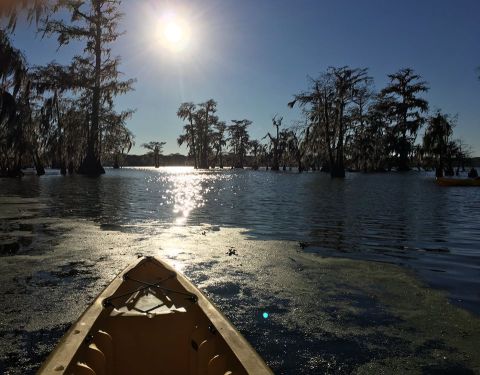 The One-Of-A-Kind Tour That Everyone In New Orleans Will Love