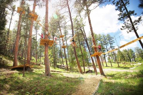 The Treetop Trail That Will Show You A Side Of South Dakota You've Never Seen Before