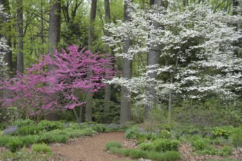 This Easy Wildflower Hike In Delaware Will Transport You Into A Sea Of Color