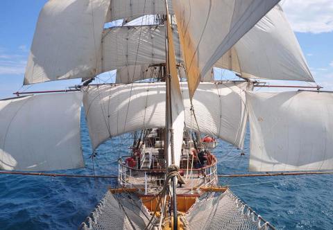 You Won't Want To Miss This Incredible Festival Of Ships In Buffalo