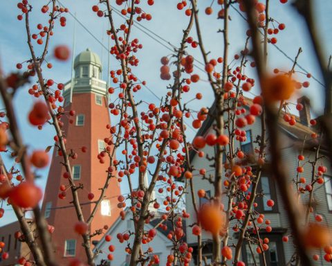 This Hidden Garden Tour In Maine's Biggest City Will Reveal Surprising Beauty