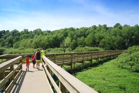 This Beautiful Boardwalk Trail In Kentucky Is The Most Unique Hike Around