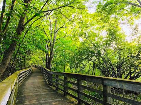 The Magical River Walk In Massachusetts That Will Transport You To Another World