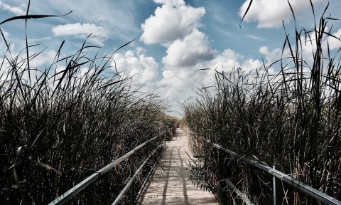 This Beautiful Boardwalk Trail In Iowa Is The Most Unique Hike Around