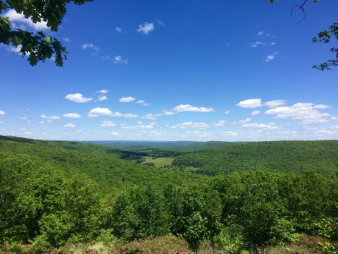 The Trail In Pennsylvania That Will Lead You On An Adventure Like No Other