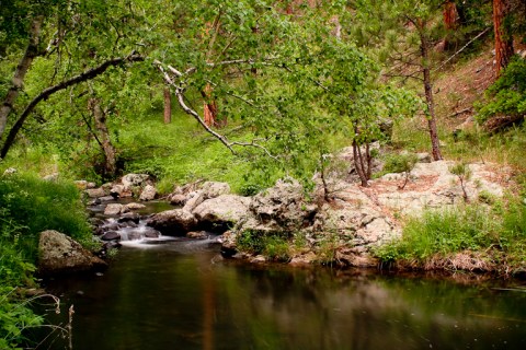 The Creekside Trail In South Dakota That's Absolutely Perfect For Summer