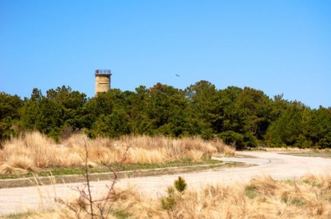 The Easy Trail In Delaware That Will Take You To The Top Of The World