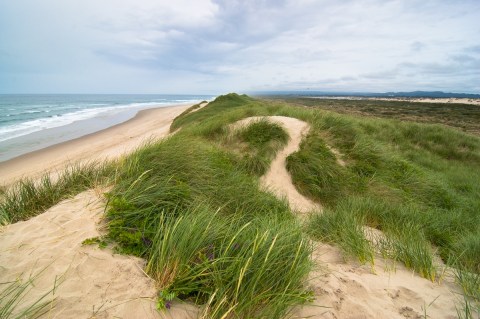 Get Away From It All At This Enchanting State Park On The Oregon Coast