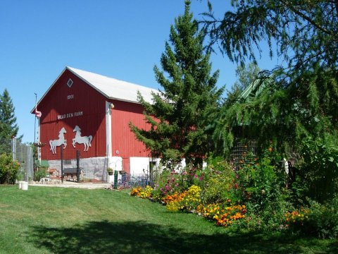 Most People Don’t Know About This Underrated Zoo Hiding In Wisconsin