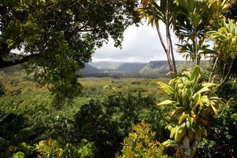 16 Lesser-Known State Parks In Hawaii That Will Absolutely Amaze You