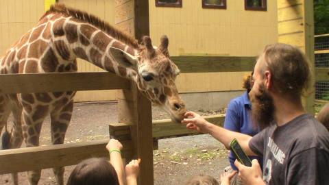 Most People Don’t Know About This Underrated Zoo Hiding In Pennsylvania