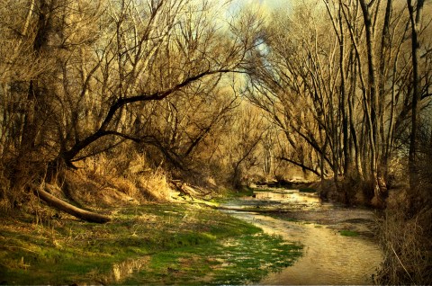 Most People Don't Realize An Underground River Flows Right Through Arizona